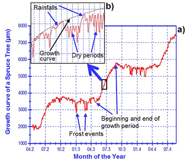 1616144474581947.png blob.png