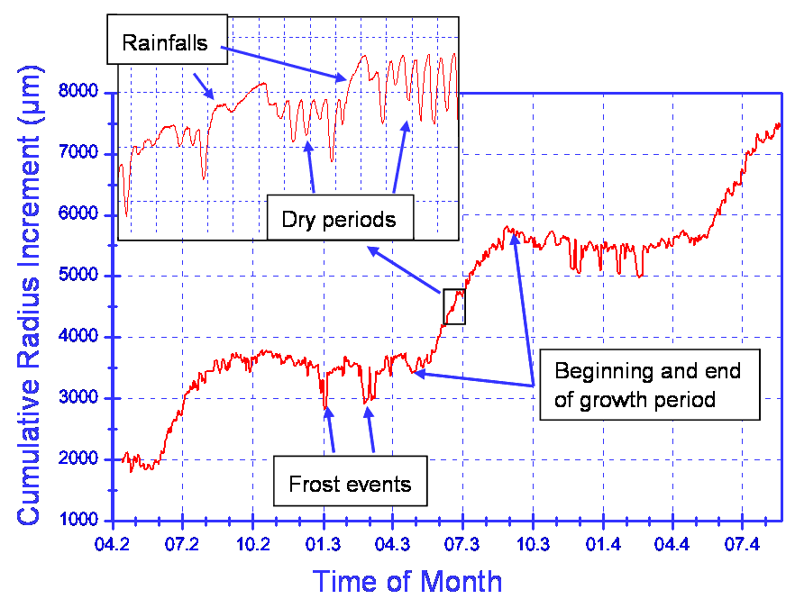 半徑生長(zhǎng)測(cè)量?jī)x 半徑生長(zhǎng)測(cè)量?jī)x