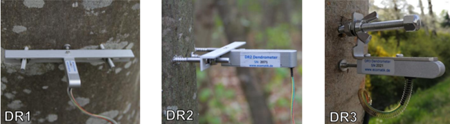 半徑生長(zhǎng)測(cè)量?jī)x 半徑生長(zhǎng)測(cè)量?jī)x