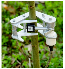 圖片關鍵詞 圖片關鍵詞