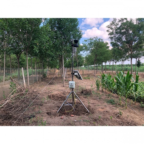 DJ-6393植物霜凍預警和監測系統